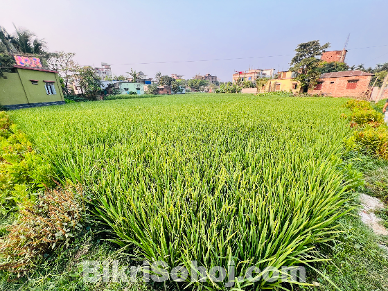 ২ কাঠা জমি 01737136107